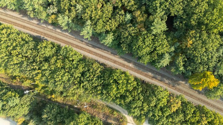 Rail line cutting straight through a forest, from directly overhead
