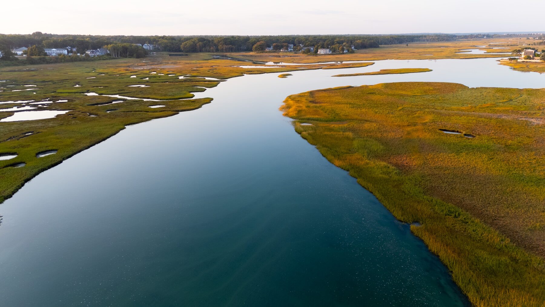 Tidal marsh channels in autumn, from above